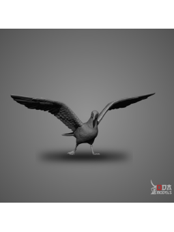 Gaviota con alas abiertas