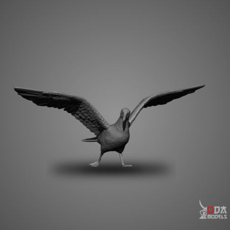 Gaviota con alas abiertas