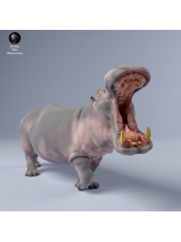 Hippopotamus resonant call