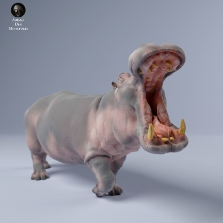 Llamada resonante de hipopotamo