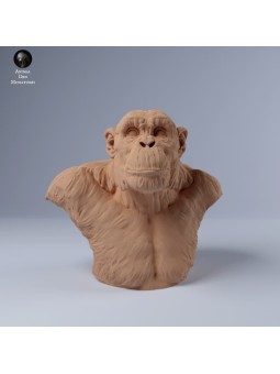 Chimpanzee bust V2