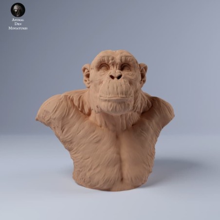 Busto chimpancé V2