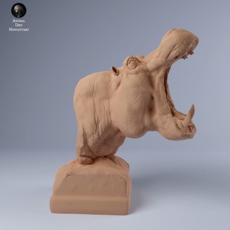 Busto hipopótamo