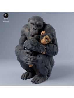 Mother chimpanzee with baby