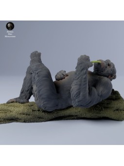 Chimpanzee relaxing
