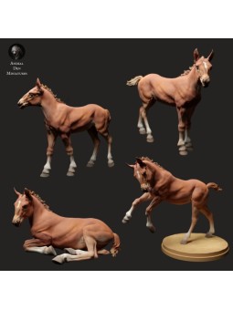 Potros de caballo Suffolk Punch