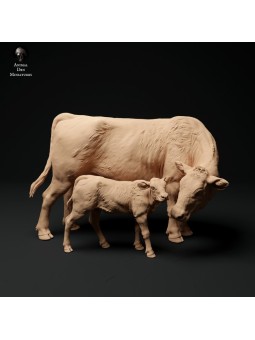 Red Devon cow with a calf