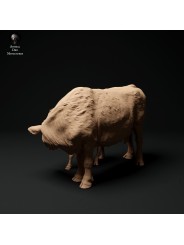 Vaca Devon Roja con un ternero