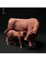 Vaca Devon Roja con un ternero