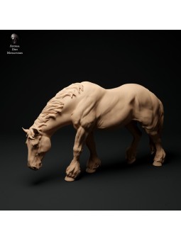 Yegua Suffolk Punch pastando