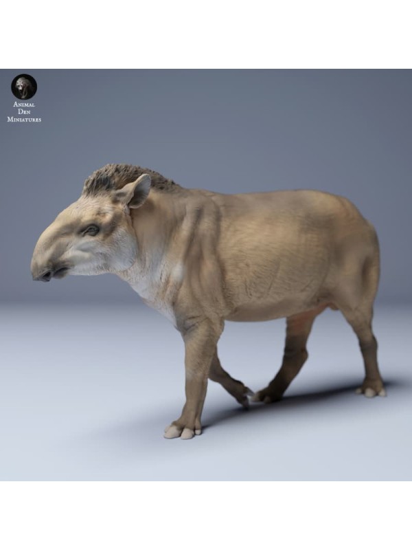Tapir caminando