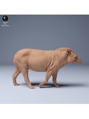 Tapir caminando