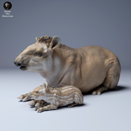 Tapir sentado con cria