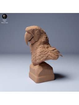 Macaw Bust