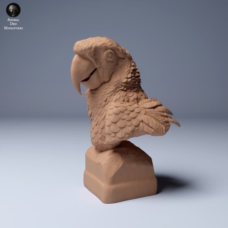 Macaw Bust