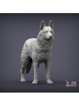 Czechoslovakian wolfdog