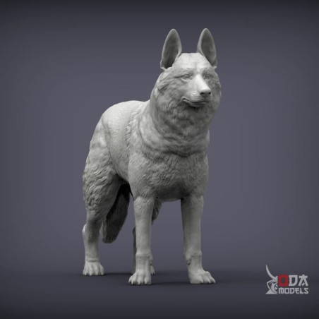 Perro lobo checoslovaco