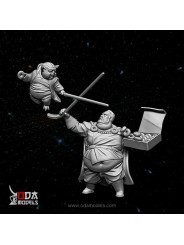 ¡Que la fuerza te acompañe!