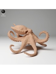 Pulpo anillo azul en movimiento