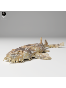 Tiburón Alfombra manchado