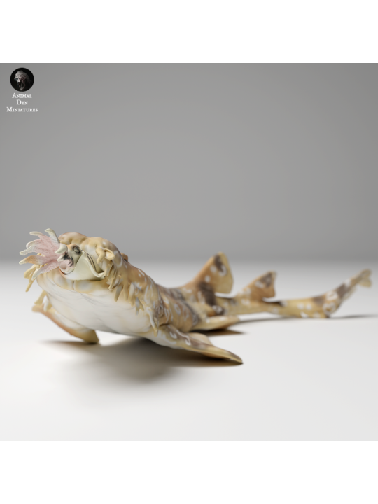 5Spotted Carpet Shark Swimming