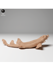 5Spotted Carpet Shark Swimming