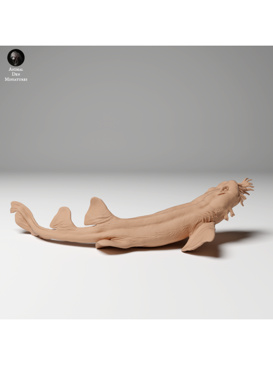 5Spotted Carpet Shark Swimming