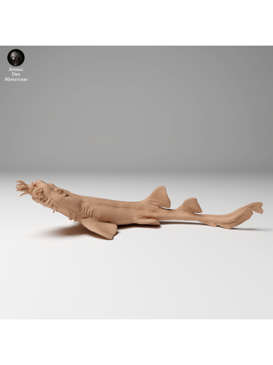 5Spotted Carpet Shark Swimming