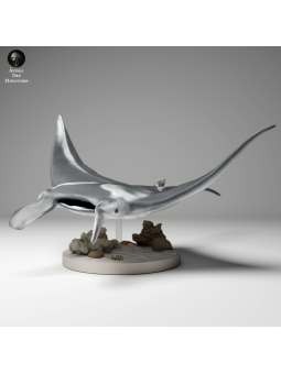 Manta Raya de arrecife