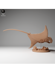 Reef Manta Ray swimming