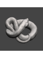 Long-nosed snake
