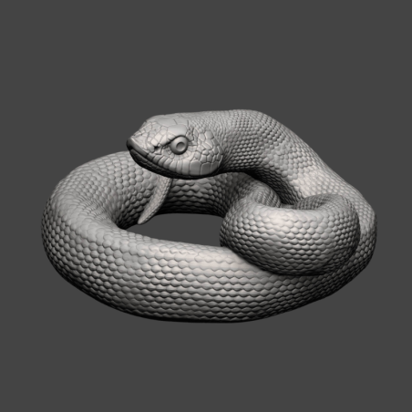 Long-nosed snake