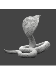 Cobra