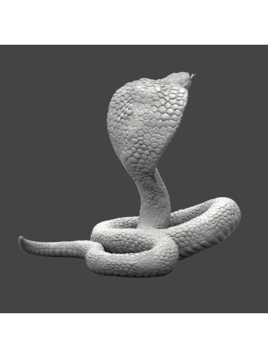 Cobra