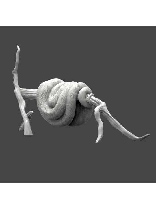 Pitón arbicola verde