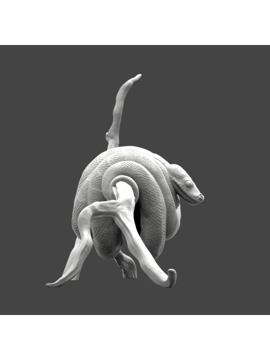 Pitón arbicola verde