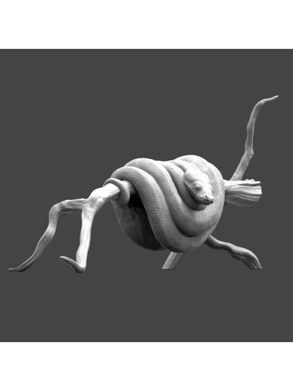 Green arbicola python