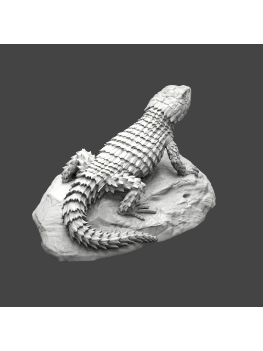 Lagarto armadillo