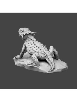 Flat-horned toad lizard