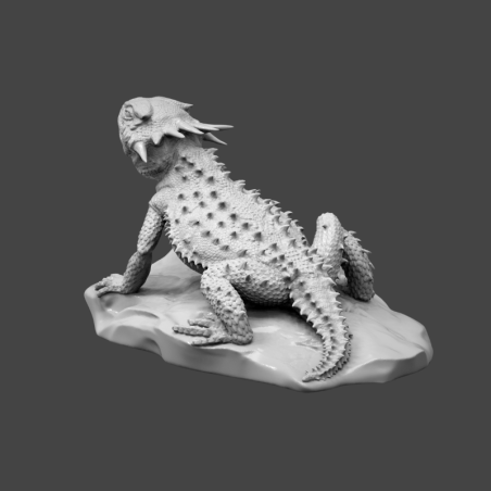 Lagarto sapo de cuernos planos