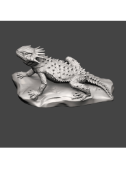 Lagarto sapo de cuernos planos