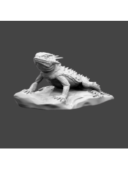 Lagarto sapo de cuernos planos