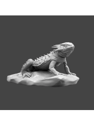 Lagarto sapo de cuernos planos