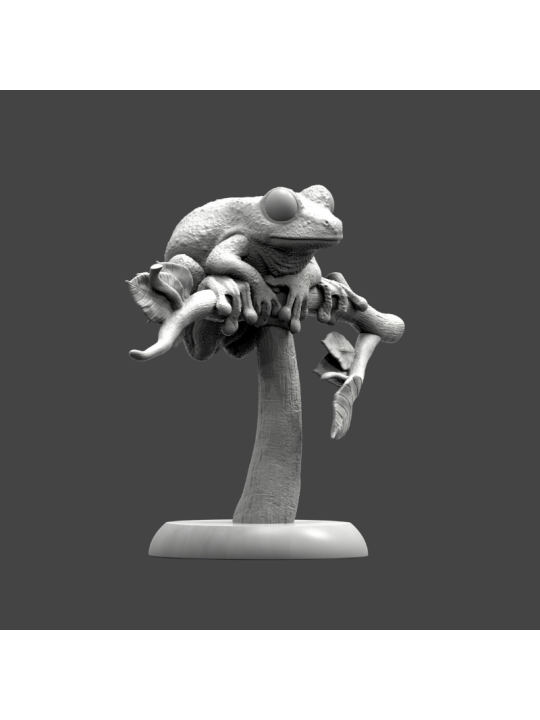 Rana de ojos granates