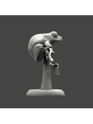 Rana de ojos granates