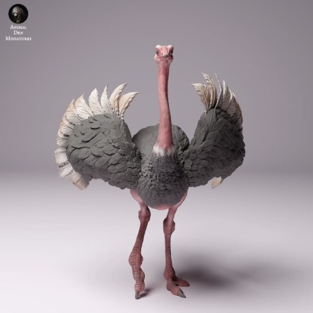 Ostrich