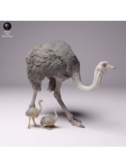 Ostrich with chicks