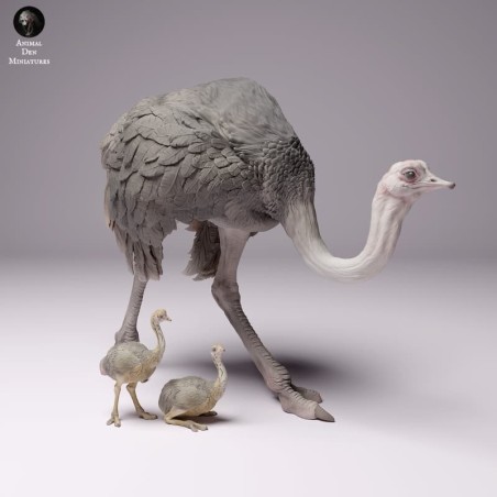 Ostrich with chicks