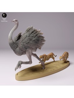 Cheetah hunting ostrich