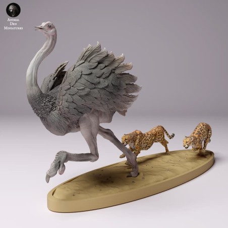 Cheetah hunting ostrich